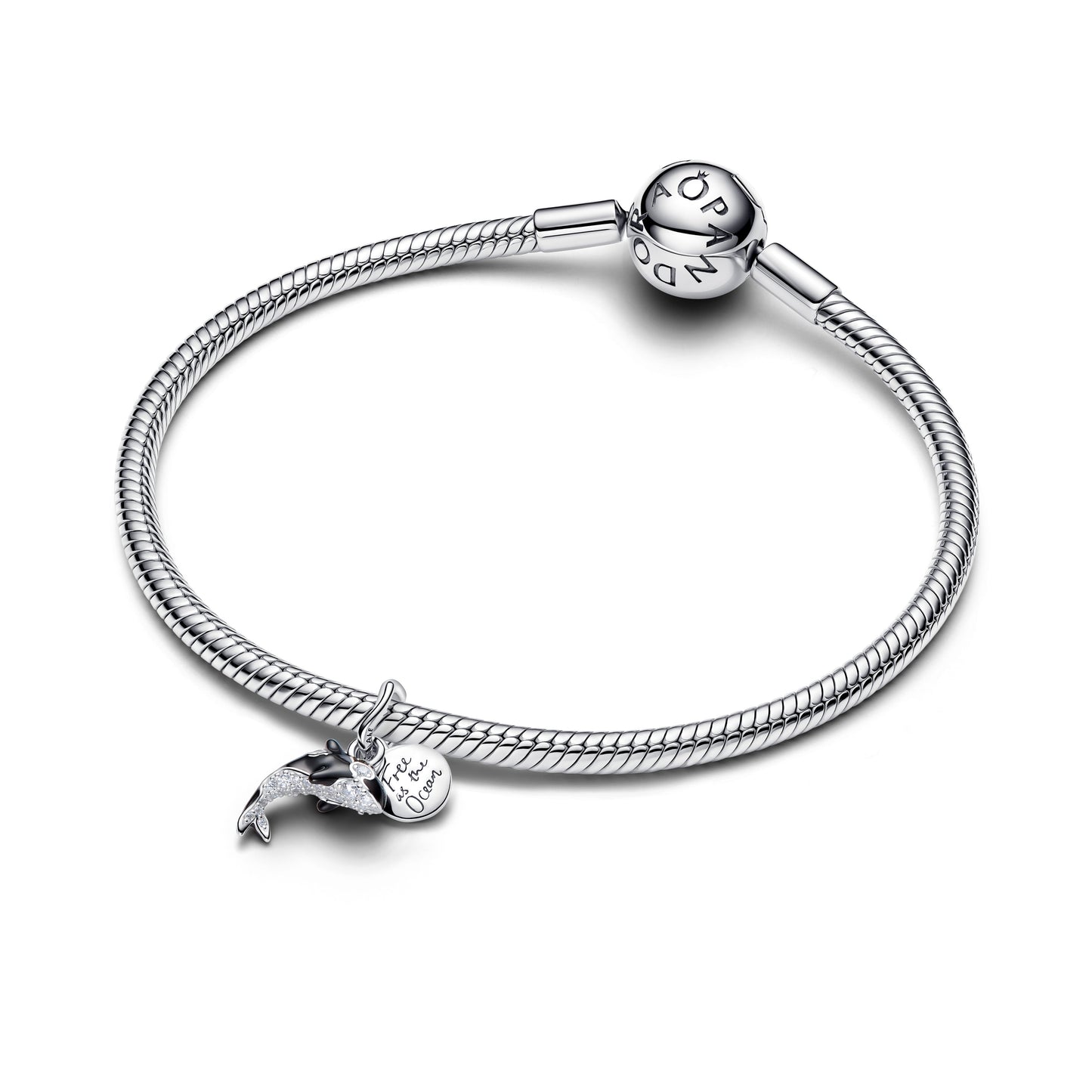 Orca Dangle Charm