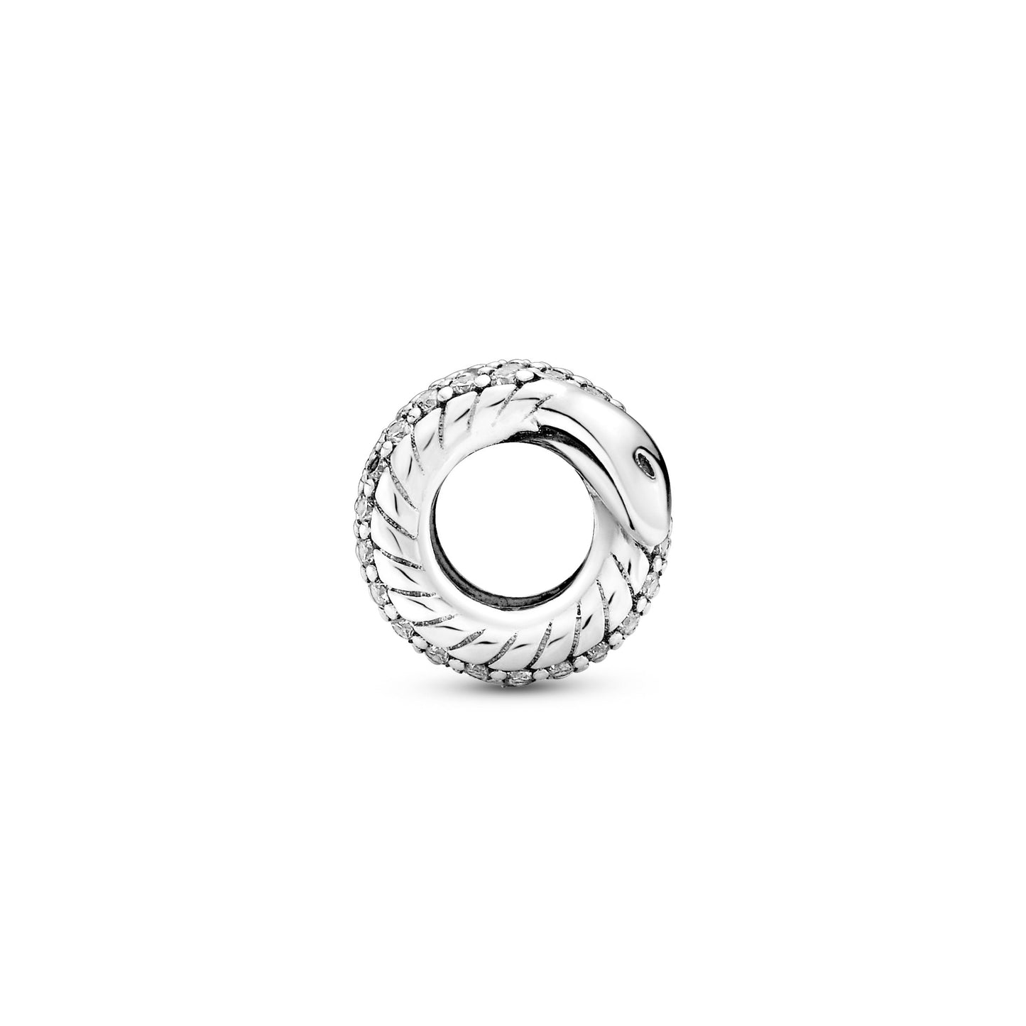Sparkling Wrapped Snake Charm